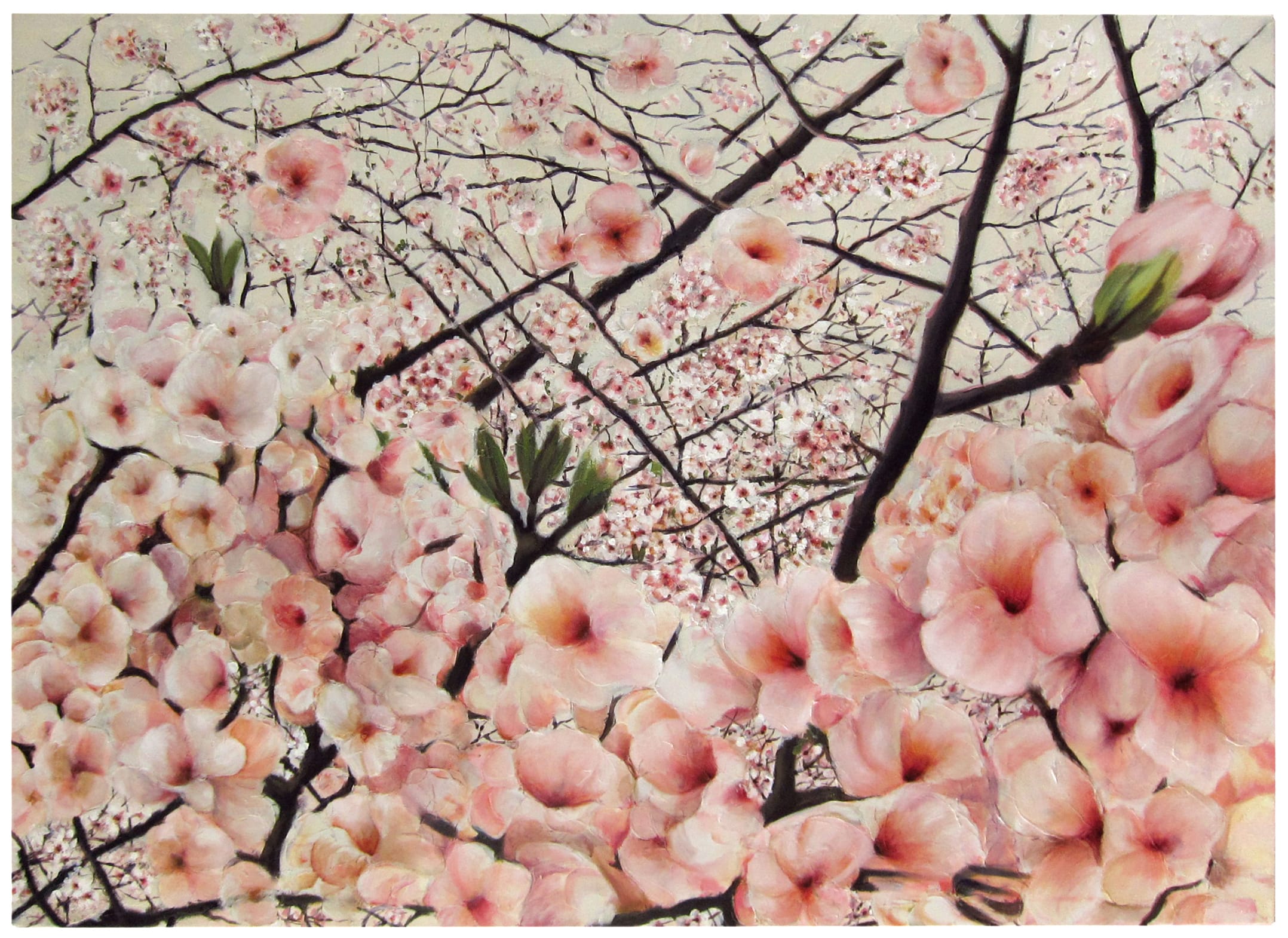 Fukushima 37.7608° N, 140.4748° E